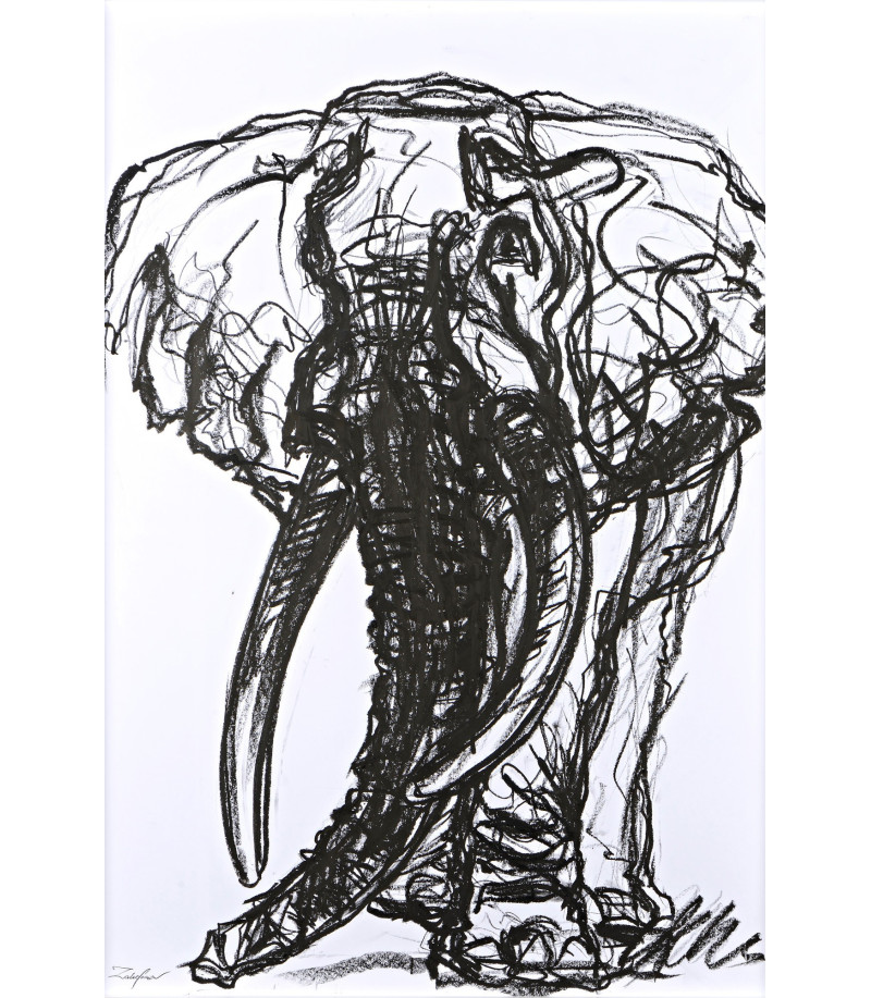 L'Éléphant, dessin crayon gras par Sonia Lalic