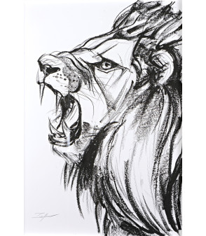 Le Lion, crayon gras par Sonia Lalic