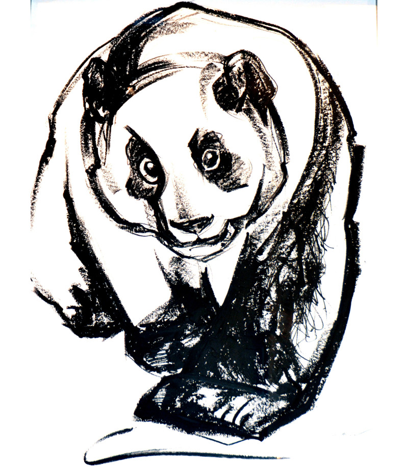 Panda- dessin crayon gras