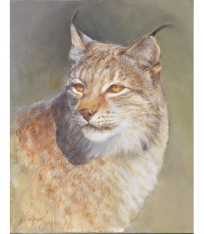 Etude de Lynx_Peinture_Huile_Moraleda_Animal_Art_Gallery_Paris