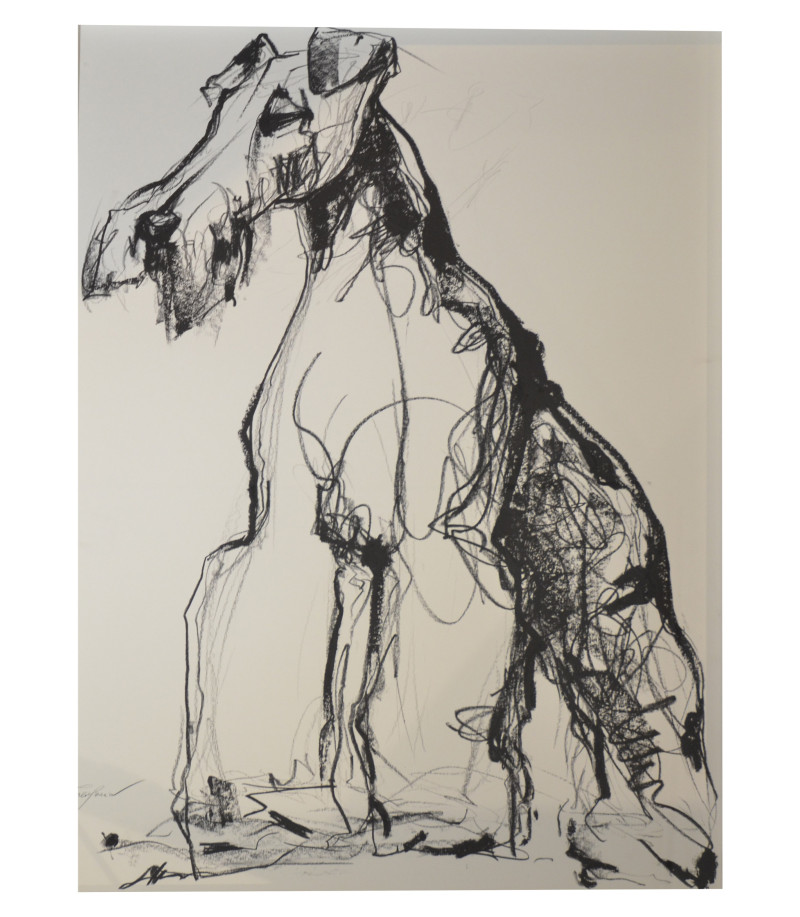 Fox terrier, - dessin crayon gras par Sonia Lalic