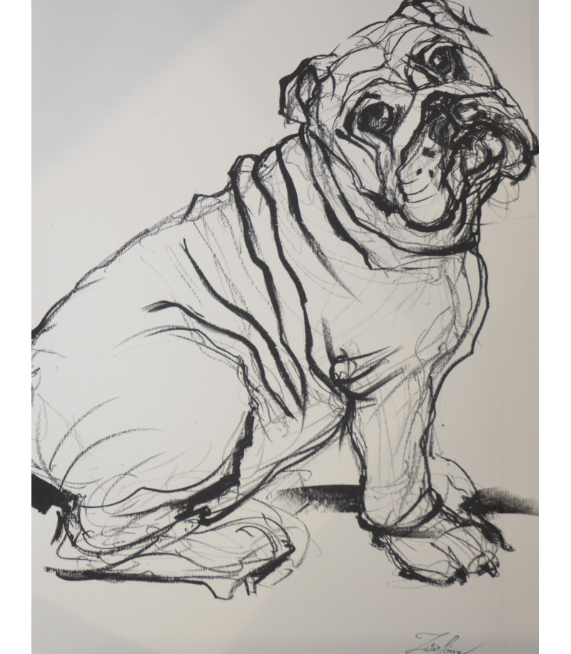 Bulldog, crayon gras par Sonia Lalic