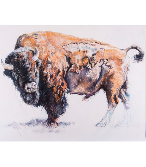 Bison américain avec des idées de printemps_Peinture_Encaustique_Julie_Salmon_Artiste_Animalier_Animal_Art_Gallery_Paris