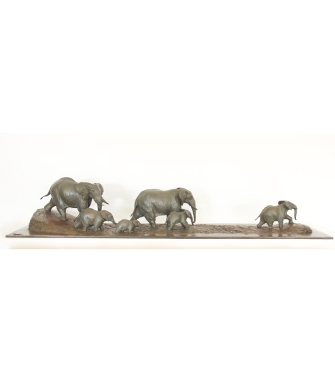 Passage à gué (une famille d'éléphants)