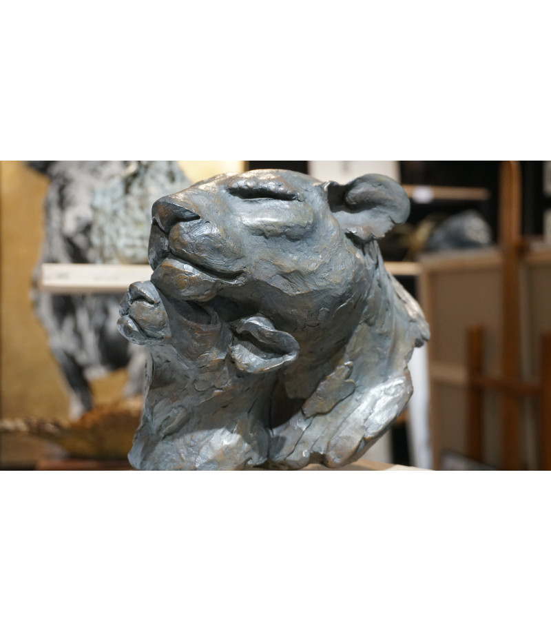 Sculpture bronze lions mère sévère details Bodin