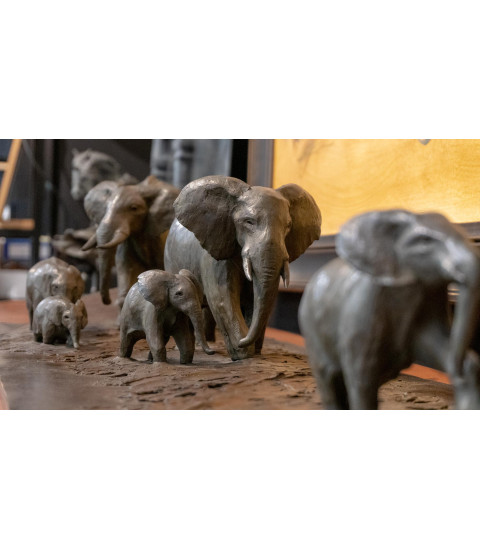 Passage à gué (une famille d'éléphants)