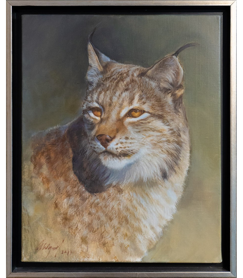 Etude de Lynx_Peinture_Huile_Moraleda_Animal_Art_Gallery_Paris