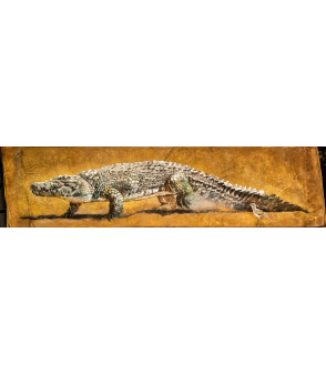 « L’Œdicnème et le crocodile: même combat » (Femelle crocodile du Nil)