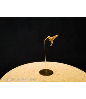 Colibri mouche (1)