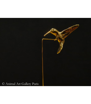Colibri mouche (1)