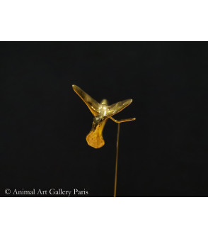 Colibri mouche (1)