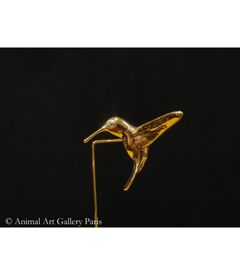 Colibri mouche (1)