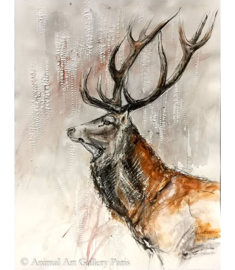 Profil de Cerf_Dessin_Aquarelle_Estelle_Rebottaro_Artiste_Animalier_Animal_Art_Gallery_Paris