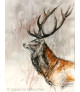 "LE ROUGE" (profil de cerf)