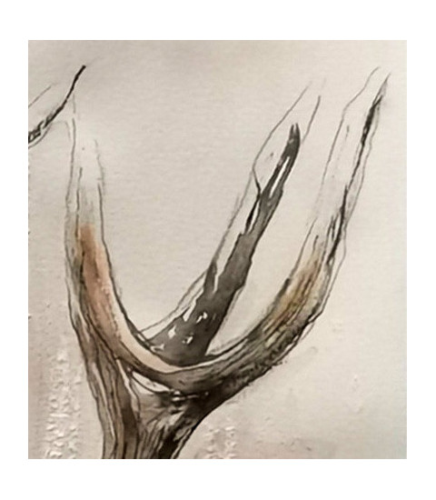 Profil de Cerf_Dessin_Aquarelle_Estelle_Rebottaro_Artiste_Animalier_Animal_Art_Gallery_Paris