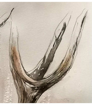 Profil de Cerf_Dessin_Aquarelle_Estelle_Rebottaro_Artiste_Animalier_Animal_Art_Gallery_Paris