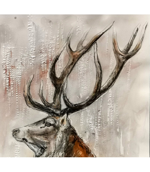 Profil de Cerf_Dessin_Aquarelle_Estelle_Rebottaro_Artiste_Animalier_Animal_Art_Gallery_Paris