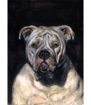 Peinture à huile - chien bouledogue américain de Igor LY