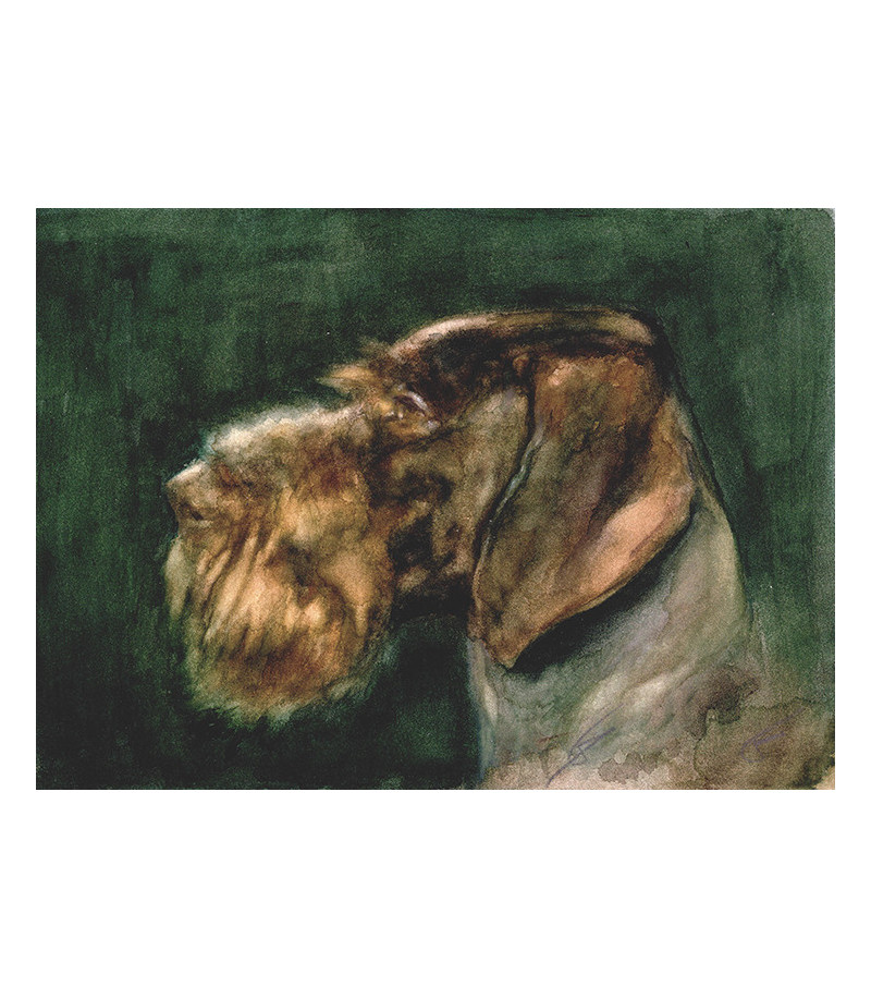 Peinture à huile chien Drahthaar de Igor LY
