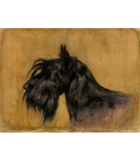 Peinture à huile chien scottish terrier de Igor LY