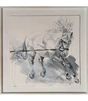 dessin encadré encres sur papier cheval -lusitanien au travail - Julie Salmon_Artiste_Animalier_Animal_Art_Gallery_Paris