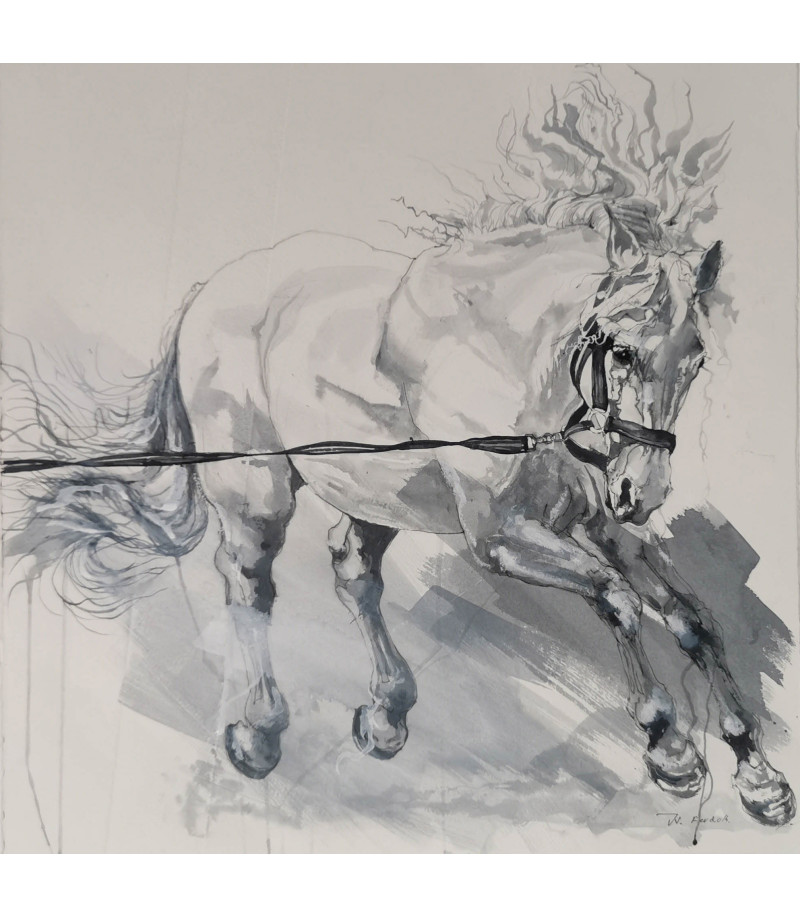 dessin encre sur papier cheval -lusitanien au travail - Julie Salmon _Artiste_Animalier_Animal_Art_Gallery_Paris