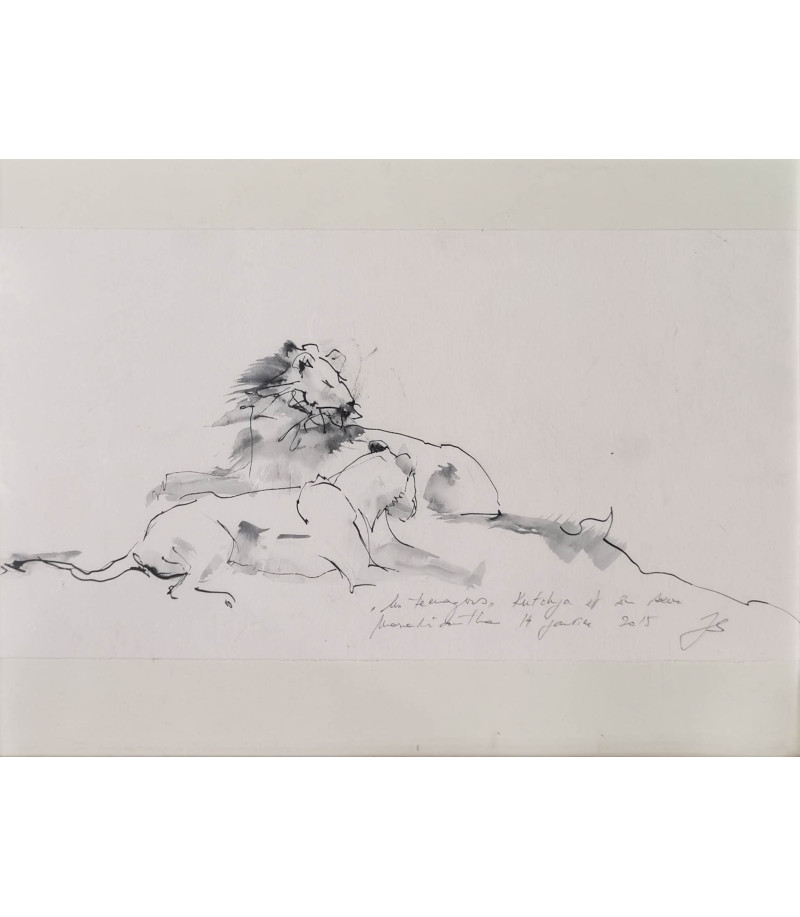 dessin encre sur papier lionne - Kutchya et sa soeur - Julie Salmon_Animal_Art_Gallery_Paris