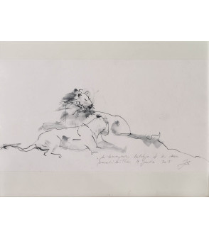 dessin encre sur papier lionne - Kutchya et sa soeur - Julie Salmon_Animal_Art_Gallery_Paris