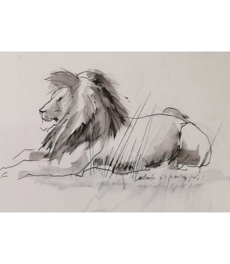dessin encre sur papier lion - entracte no3 - Julie Salmon_Artiste_Animalier_Animal_Art_Gallery_Paris
