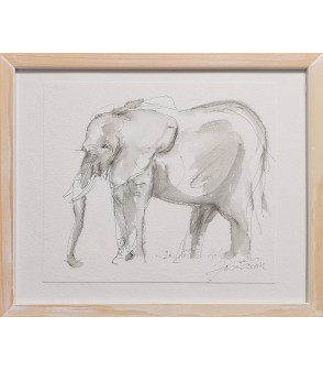 dessin encre sur papier encadré éléphant - au festival des elephants - Julie Salmon
