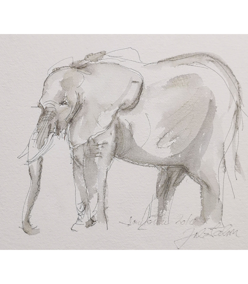 dessin encre sur papier éléphant - au festival des elephants - Julie Salmon