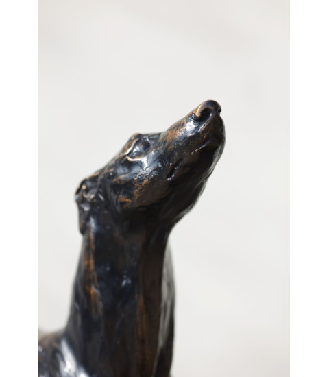 Sculpture en bronze Greyhound détails 6 Igor Ly