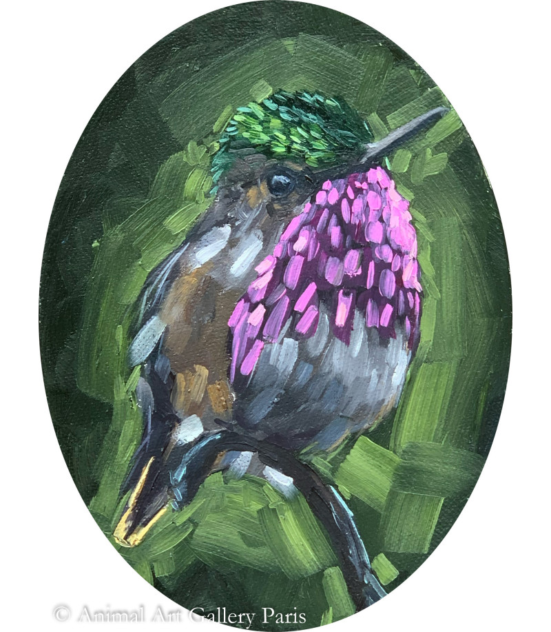 Peinture-Oiseau-King-Colibri-Thibaut-Dapoigny