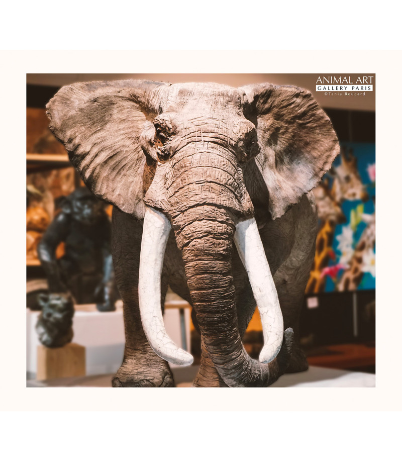 Elephant d'Afrique sculpture en raku, par Tania Boucard pour Animal Art Gallery Paris