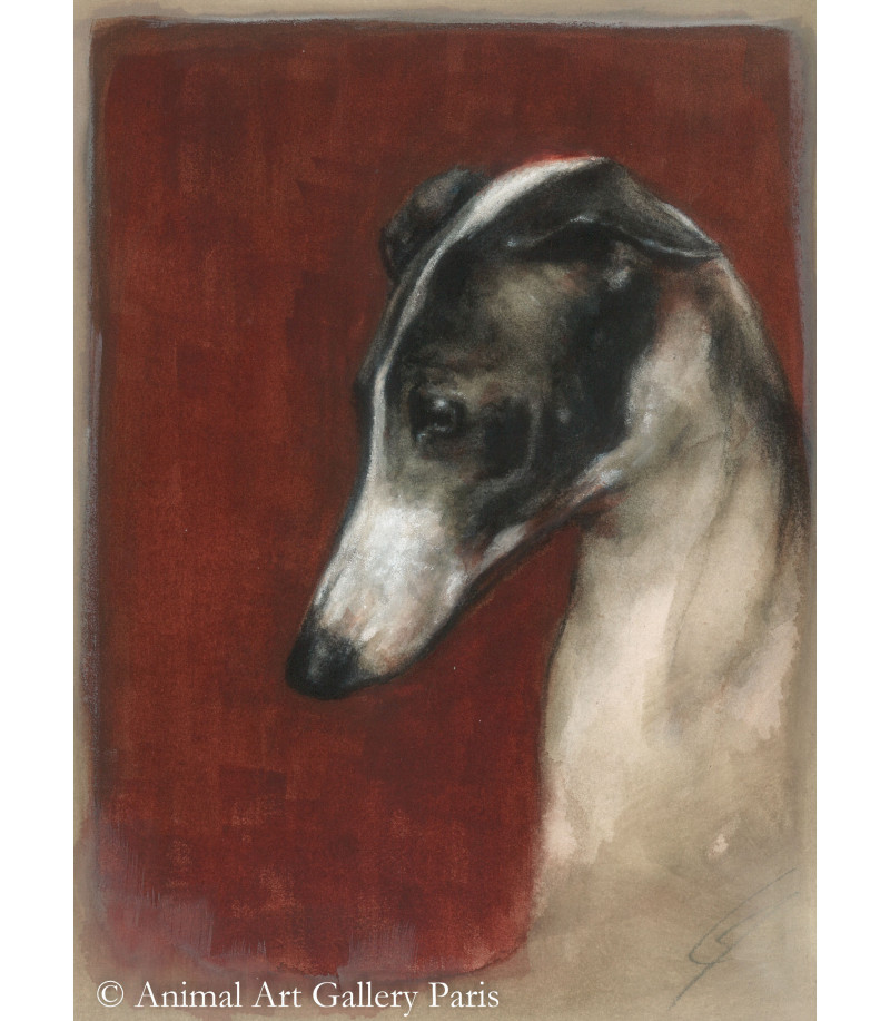 Peinture - chien - Petit levrier italien - artiste animalier Igor Ly