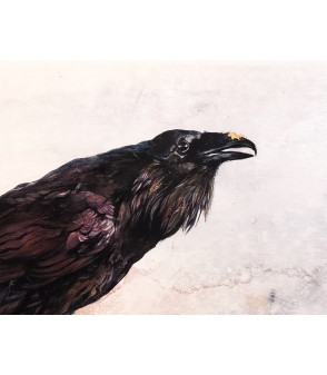 Julie Salmon corbeau peinture animalière encaustique