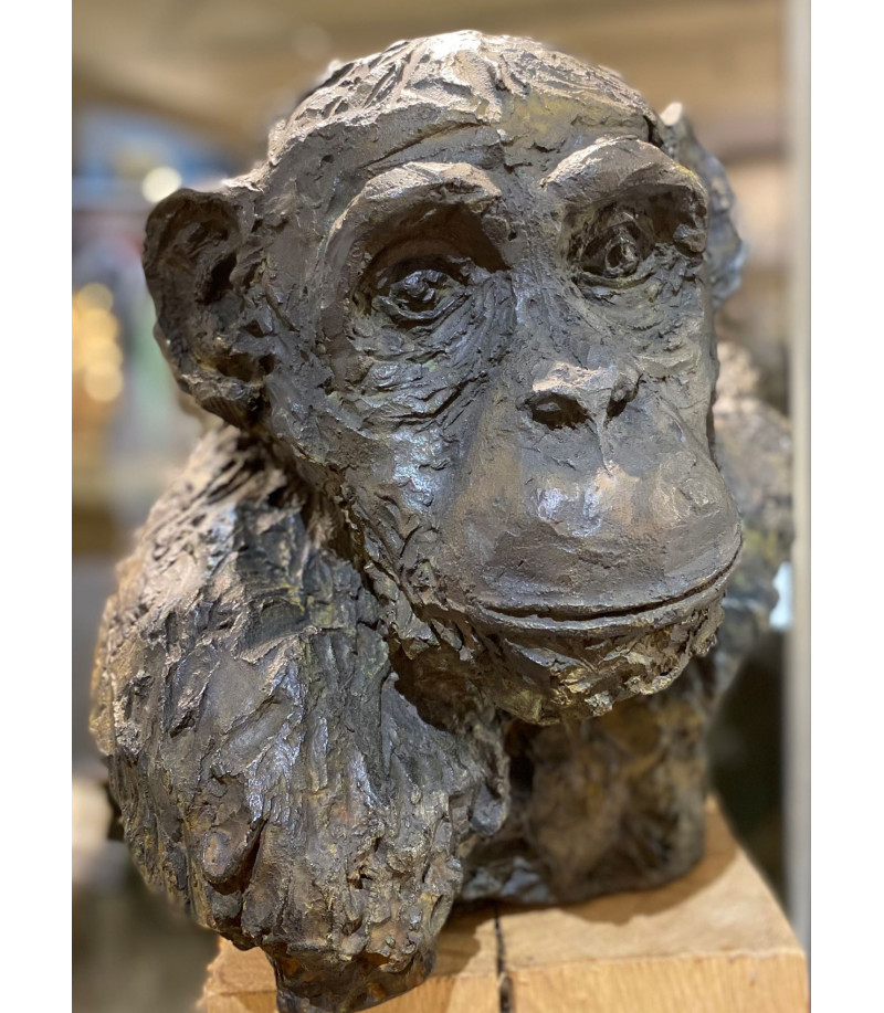 Chimpanzé sculpture animalière en bronze Francine Mellier pour Animal Art Gallery Paris