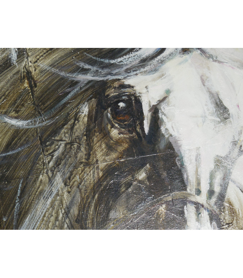 WHITE HORSE (cheval, étalon), par Hubert de Watrigant pour Animal Art Gallery Paris