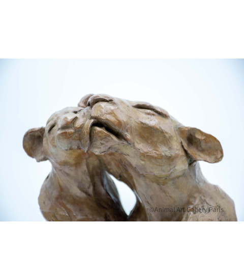 Sculpture bronze lions barbouille Bodin details 3