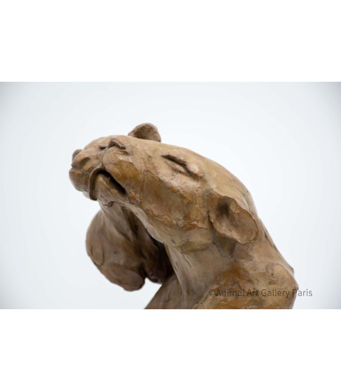 Sculpture bronze lions barbouille Bodin details 12