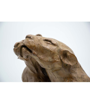 Sculpture bronze lions barbouille Bodin details 13
