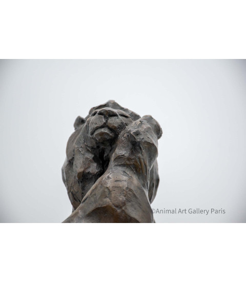 Sculpture_Bronze_Couple_Lion_Lionne_Tendre_homme_Bodin_Artiste_Animalier_6