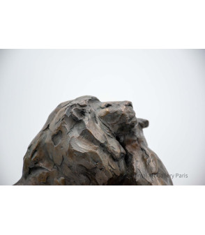 Sculpture_Bronze_Couple_Lion_Lionne_Tendre_homme_Bodin_Artiste_Animalier_11