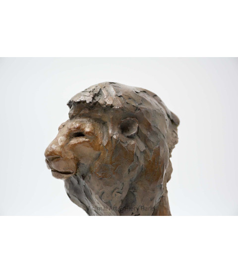Sculpture bronze tete de lion Bodin 3