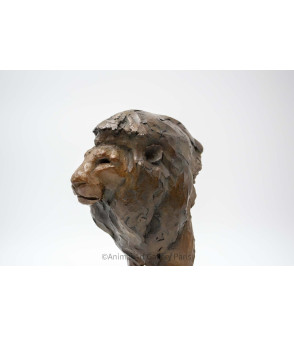 Sculpture bronze tete de lion Bodin 4