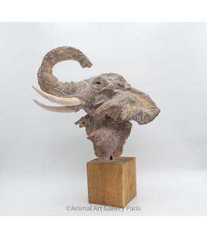 Sculpture terre cuite Tete d'elephant Claire Cretu 2