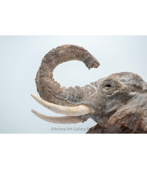 Sculpture terre cuite Tete d'elephant Claire Cretu 3