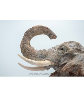 Sculpture terre cuite Tete d'elephant Claire Cretu 3