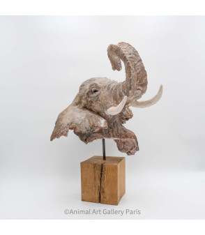 Sculpture terre cuite Tete d'elephant Claire Cretu 6