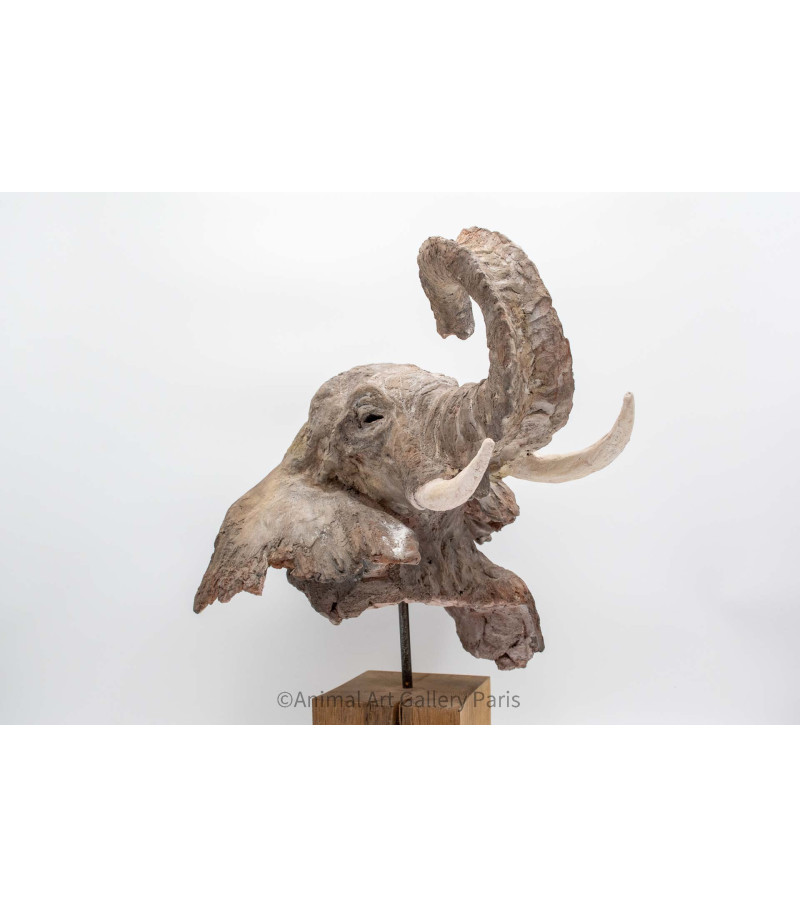 Sculpture terre cuite Tete d'elephant Claire Cretu 1